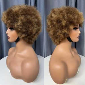 Alejandra Curly Wig
